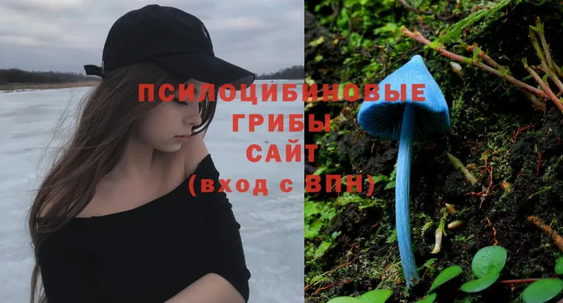 Псилоцибиновые грибы Psilocybine cubensis  Скопин 